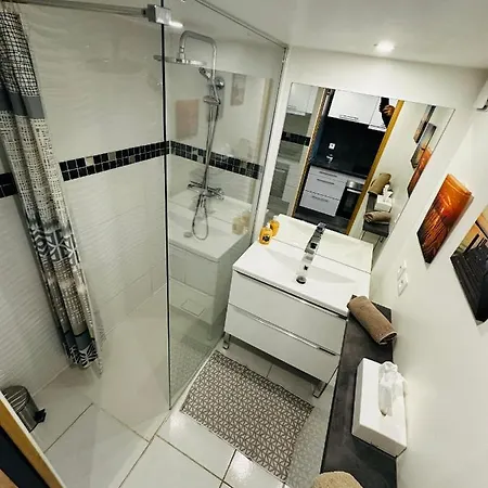 Duplex Sur Marinas Cap D'agde Agde