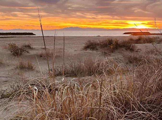 Duplex Sur Marinas Cap D'agde Agde